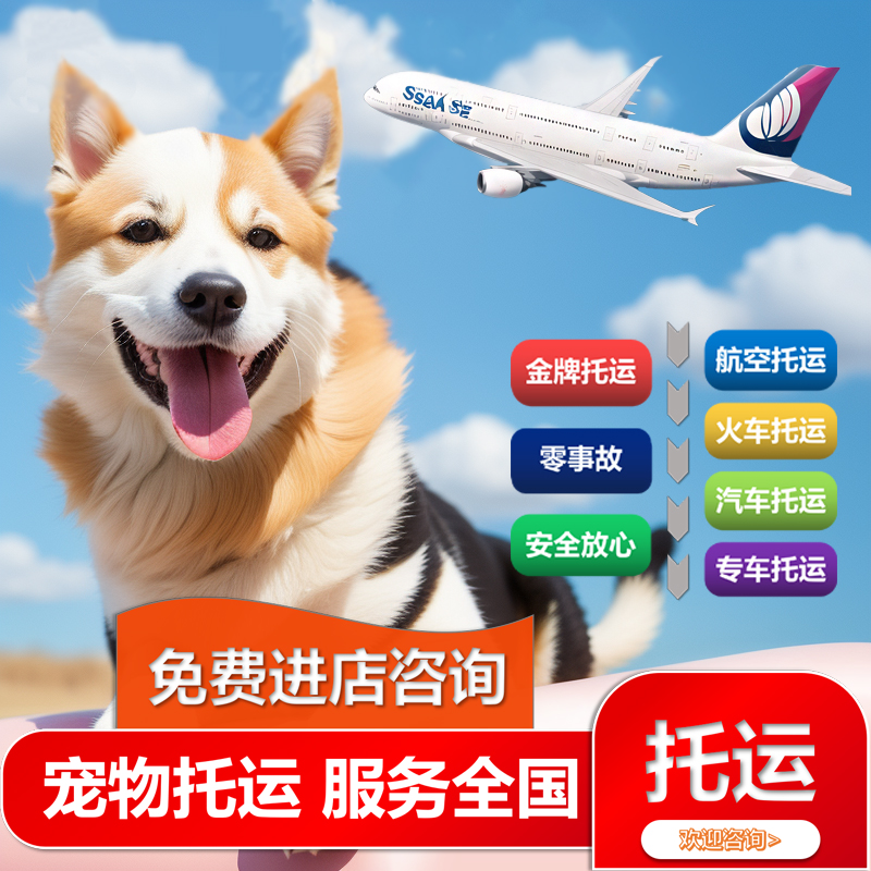 Stringo 550 RO 托运车议价攻略：如何以最优价格拿下心头好？