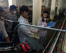 我和教授&ldquo;羊粪豆&rdquo;