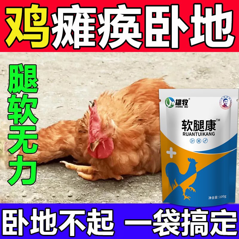 雄牧软腿康：蛋禽补钙秘籍，养鸡达人的必备神器！