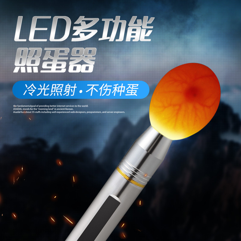 照蛋器LED手电筒太香了！孵化验蛋神器，新手也能轻松上手！✨