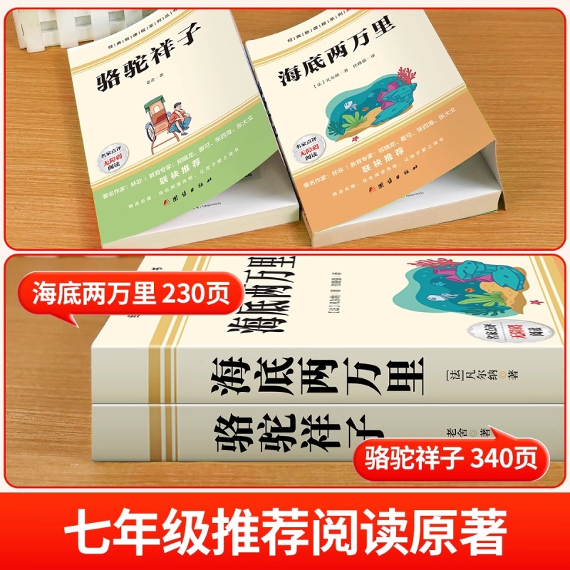 爱登堡是谁？他的生平和成就有哪些亮点？