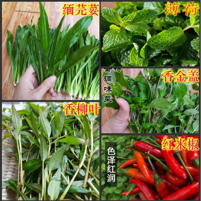 云南德宏新鲜蔬菜香料组合：缅芫荽香柳小芫荽金芥红米辣，带你领略不一样的味觉盛宴！