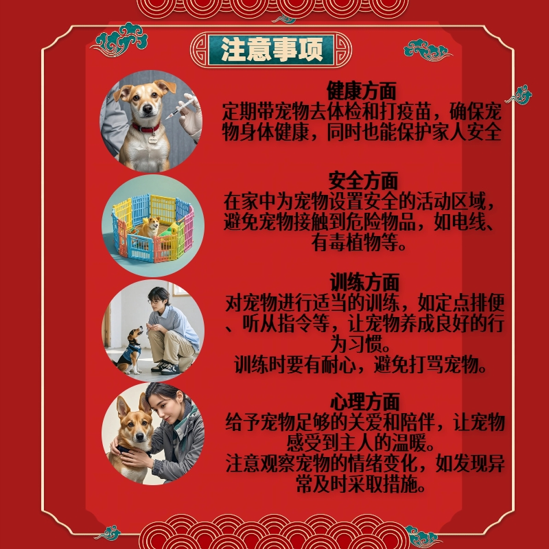 山东本地犬舍-爆款网红纯种牛头梗幼犬，萌化你的心！
