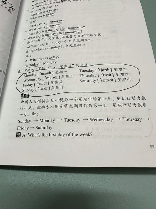 数据库date,概述与重要性