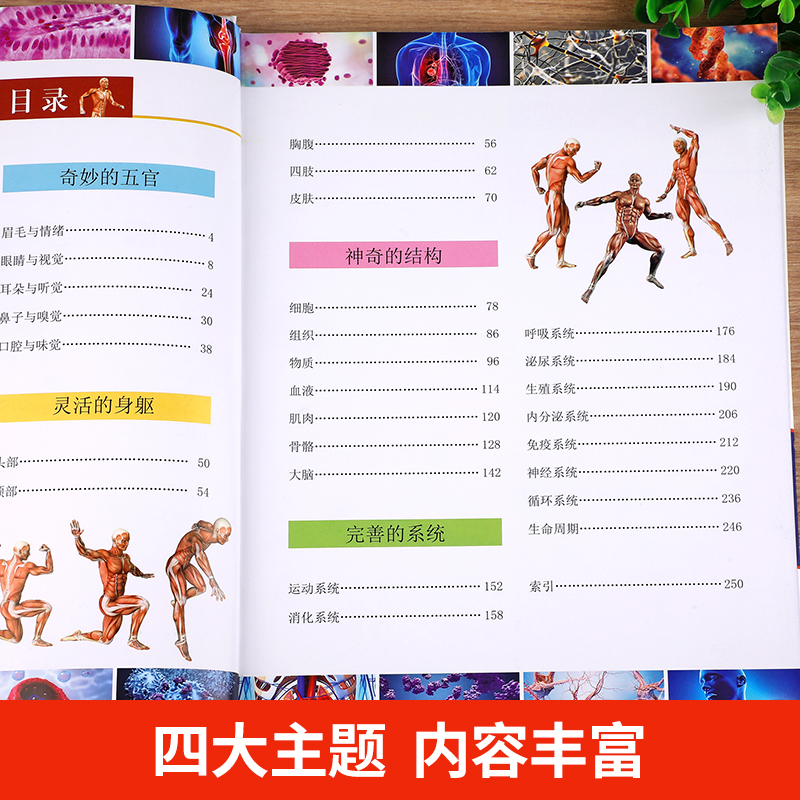 天猫购物攻略大揭秘！如何一眼看出店铺信誉高低？速来围观！
