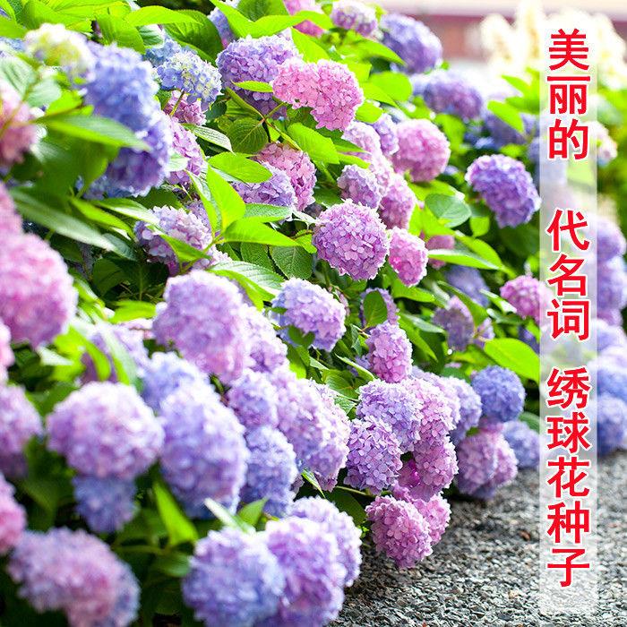 氛围感仿真动物太阳能户外花园摆件，点亮你的夜晚，打造梦幻庭院！