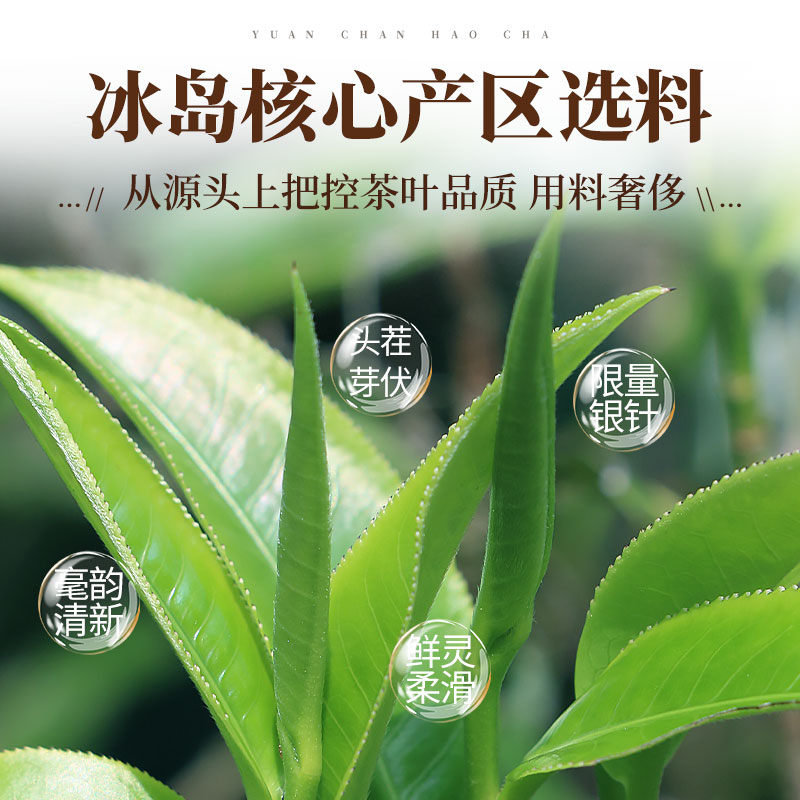 中茶福建白茶：首春单芽特级白毫银针，春天的第一口鲜香，你尝过了吗？