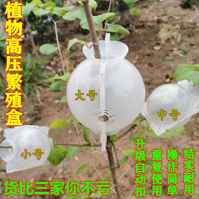 植物高压嫁接盒：园艺新手必备神器，轻松搞定生根控根难题！