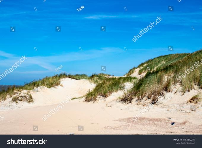 sand dunes beach activities,Sand Dunes Beach Activities: A Comprehensive Guide for Beach Lovers