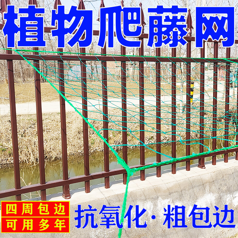 爬藤神器来了！黄瓜苦瓜丝瓜全搞定，种菜党狂喜！