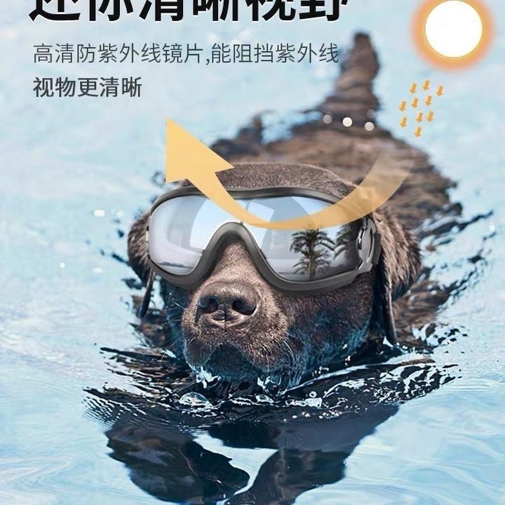 新款狗狗护目镜：边牧眼镜防晒神器，保护爱宠视力的时尚潮流！