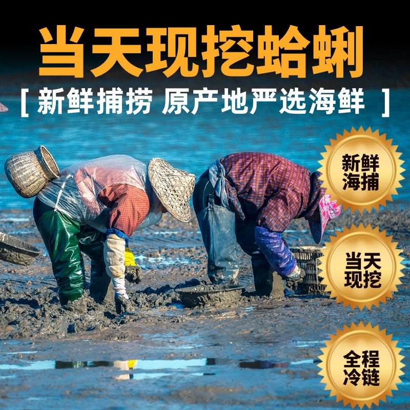 鲜活大粒花蛤：海鲜界的美味担当，散称(30-40头/500g)的选购秘籍