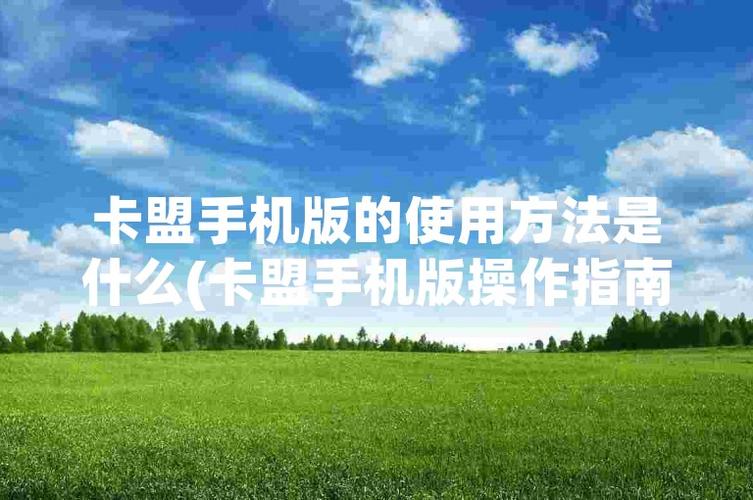 卡盟怎么用,探索卡盟平台的便捷应用与高效管理之道
