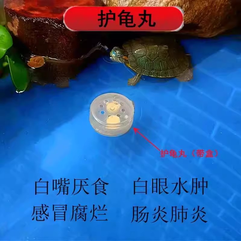 龟缸必备神器：高山龙眼木爬台晒台，打造完美龟类生活环境