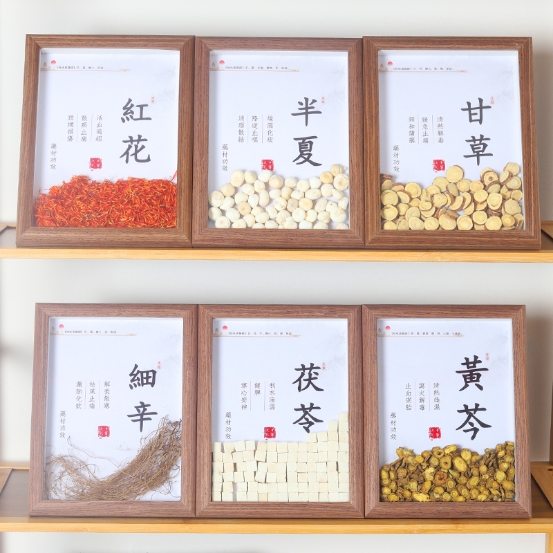 中药标本展示墙：让中草药走进生活，开启你的中医文创之旅！