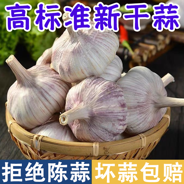 2024金乡新蒜上线！紫皮红皮全都有，新鲜到爆汁！这波不囤亏大了