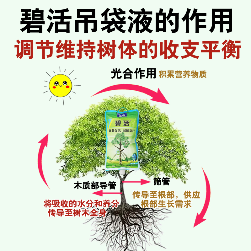 森活靓页速大树营养液吊针液施植物生根液：树木移栽输液袋的秘密武器，它活了！