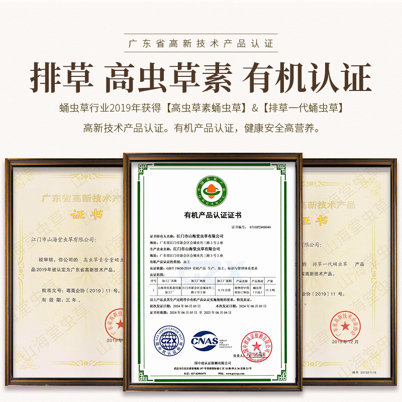 山海堂有机虫草花：自然馈赠的健康瑰宝，50g装新鲜金虫草孢子头，开启养生新篇章