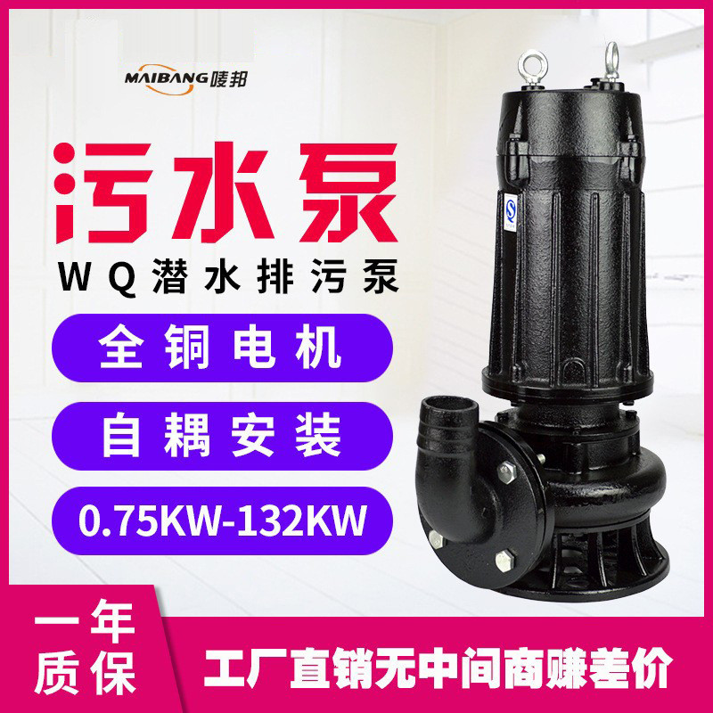 热销潜水排污泵3kw：工业污水泵与污泥泵的选择全攻略