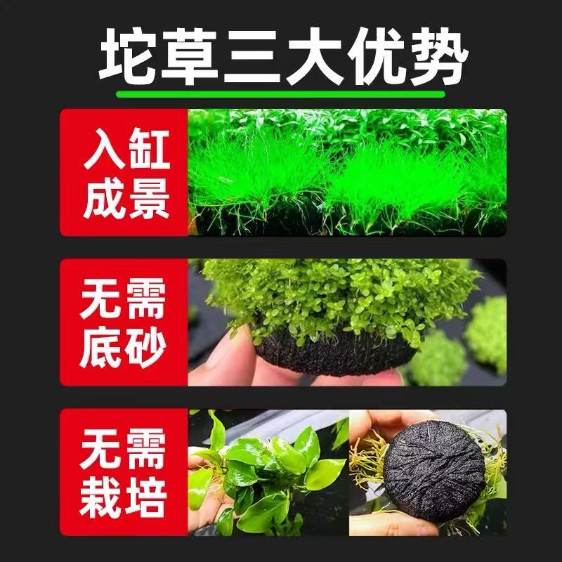 FRIDAY职人手作皮革挂套：剑玉爱好者的终极装备，蓝绿色专业版剑球KENDAMA！