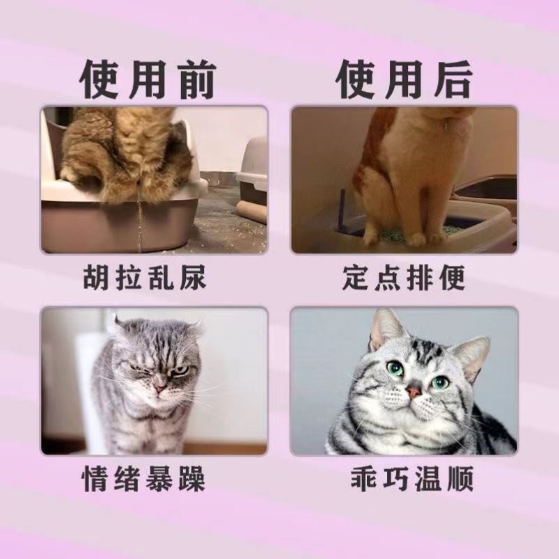 牛首山希尔顿酒店，隐藏的度假天堂，你绝不能错过！