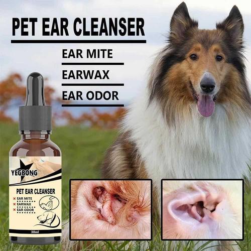 Understanding IS Ear and Skin Infections: A Comprehensive Guide for You