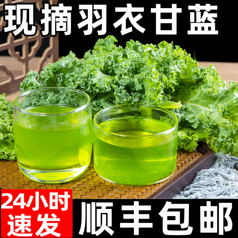 新鲜鸽胗4斤顺丰包邮，如何挑选和烹饪这道美味烧烤食材？