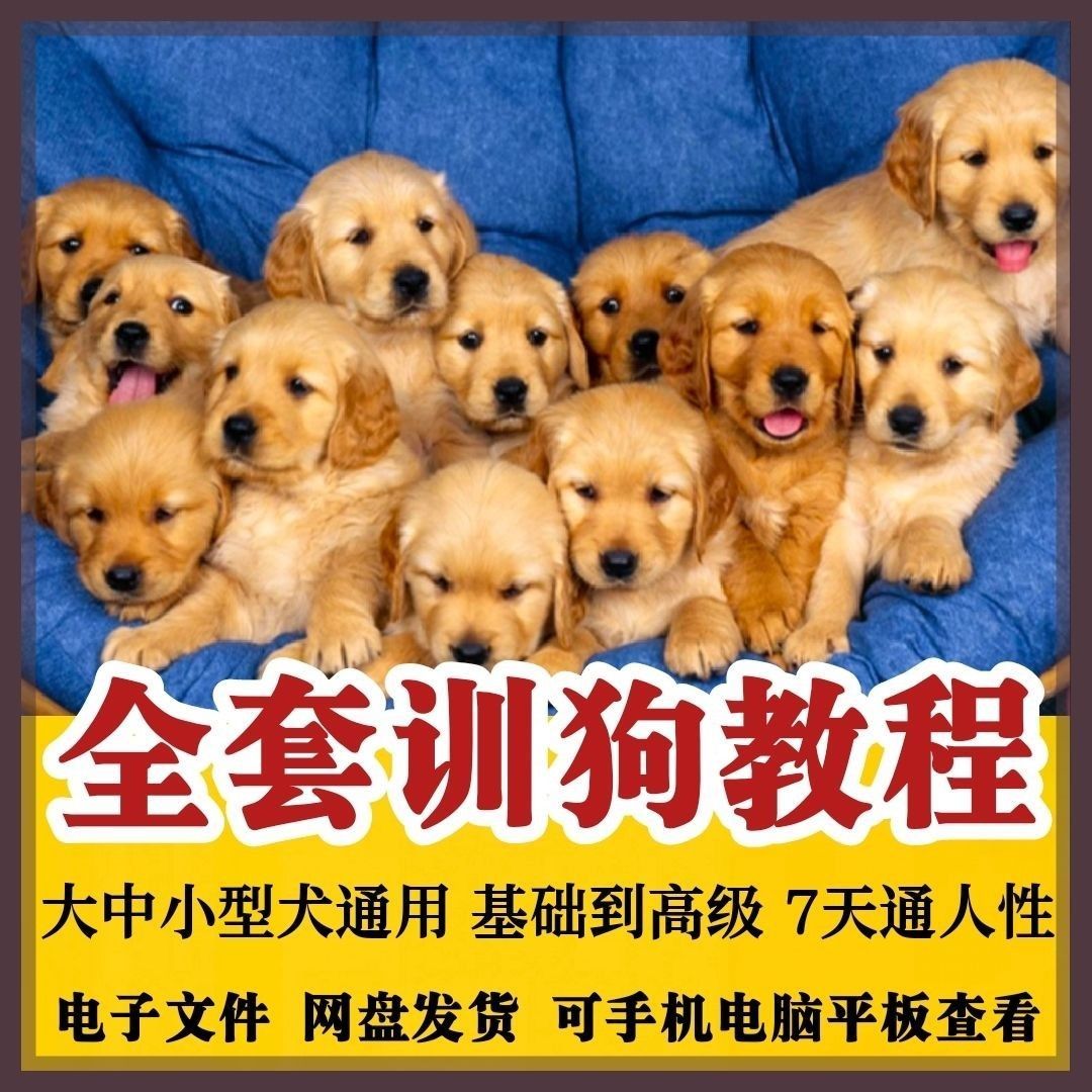 哪里可以找到拉布拉多警长在线免费观看资源？