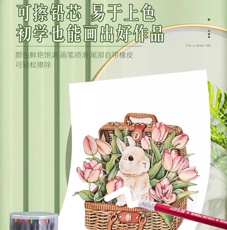 晨光彩铅套装：解锁你的色彩梦想，绘画新手也能轻松上手✨