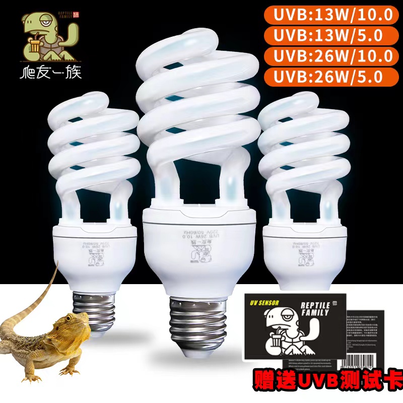 爬宠UVB灯泡10.0：给你的鬃狮蜥蜴和陆龟最好的阳光浴