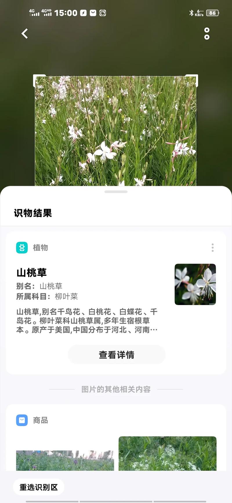 仙桃草价格,市场行情与影响因素