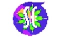 Soft Cleaner1.2019.4.5 官方版