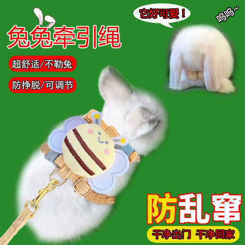 什么才是春夏外出遛兔子的最佳选择？防挣脱可调节兔绳子了解一下？