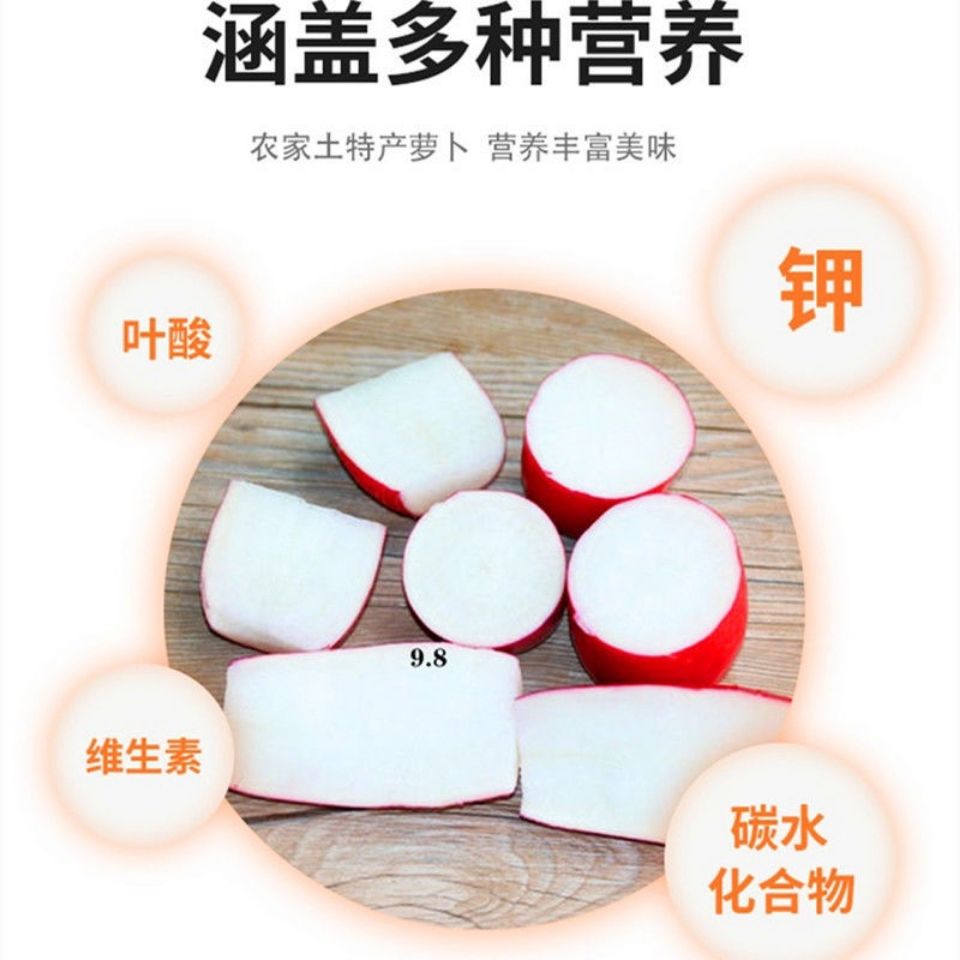 1/5斤装水萝卜太香了！泡菜腌菜原料生吃都绝了！这波不冲亏麻了