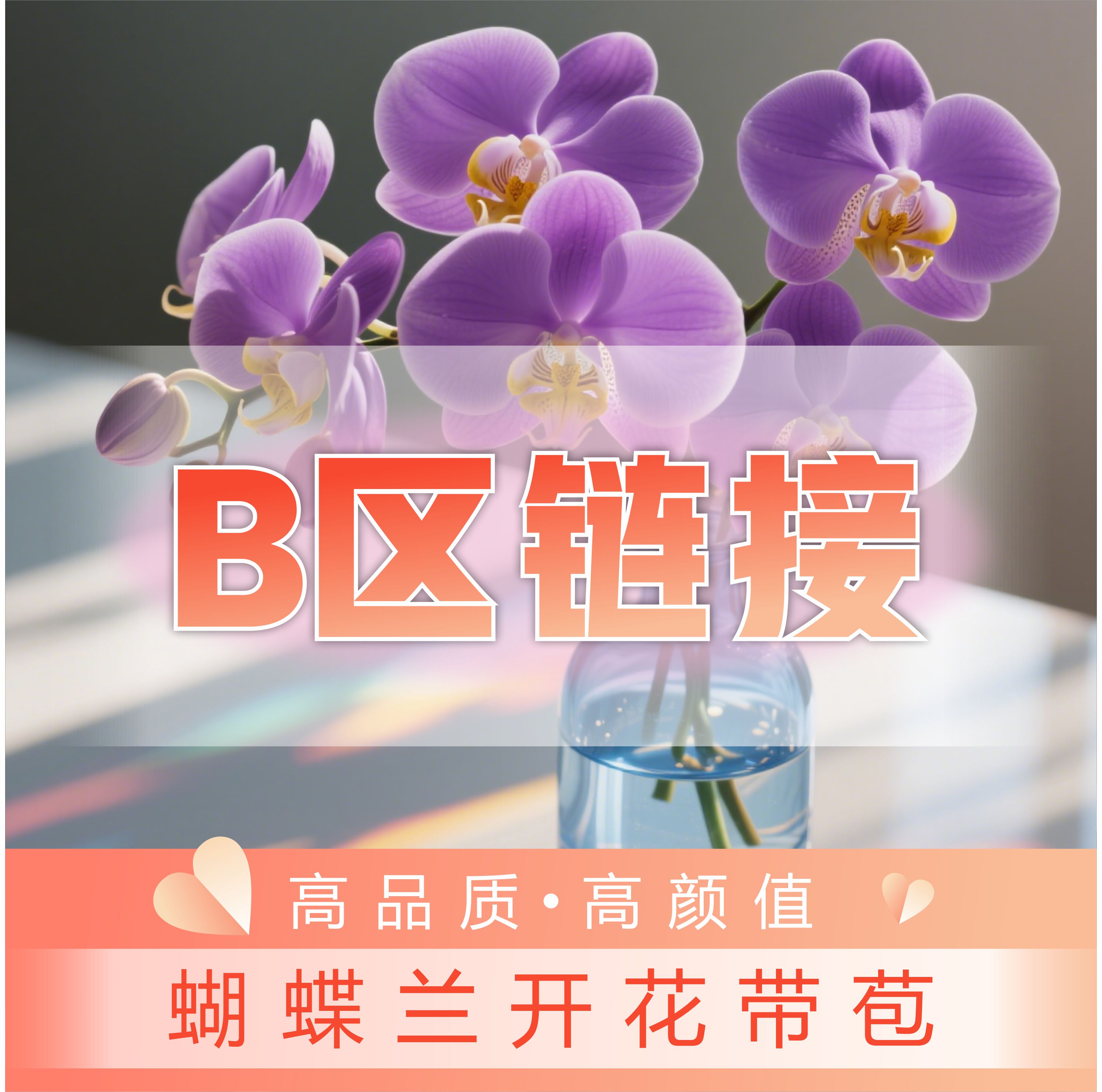 西窗法雨精装修订版：刘星带你走进西方法律文化的奇妙之旅！