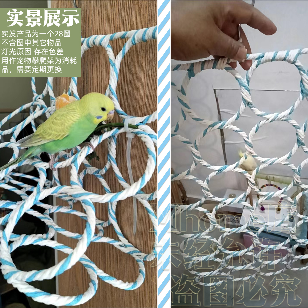 法威尔鹦鹉益生菌：拯救拉稀小鸟，调理肠道神器！