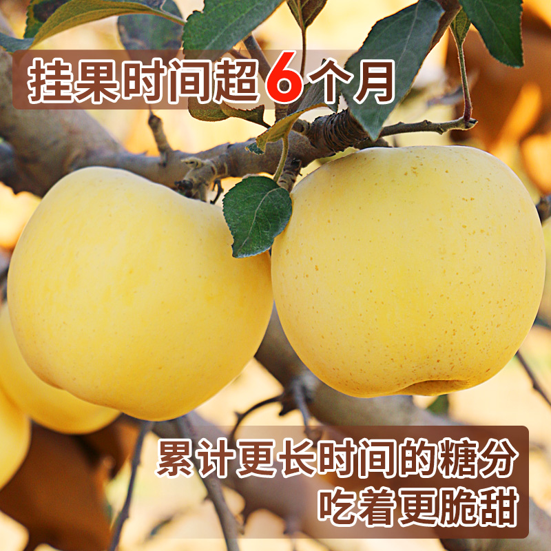 丹东99草莓：当季红颜奶油盛宴，顺丰包邮大整箱！