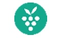 Berrycast0.18.2 正式版