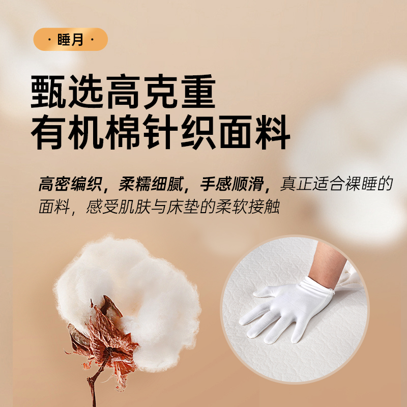广州五星级酒店数量：宝藏数据揭秘，搞钱必看！