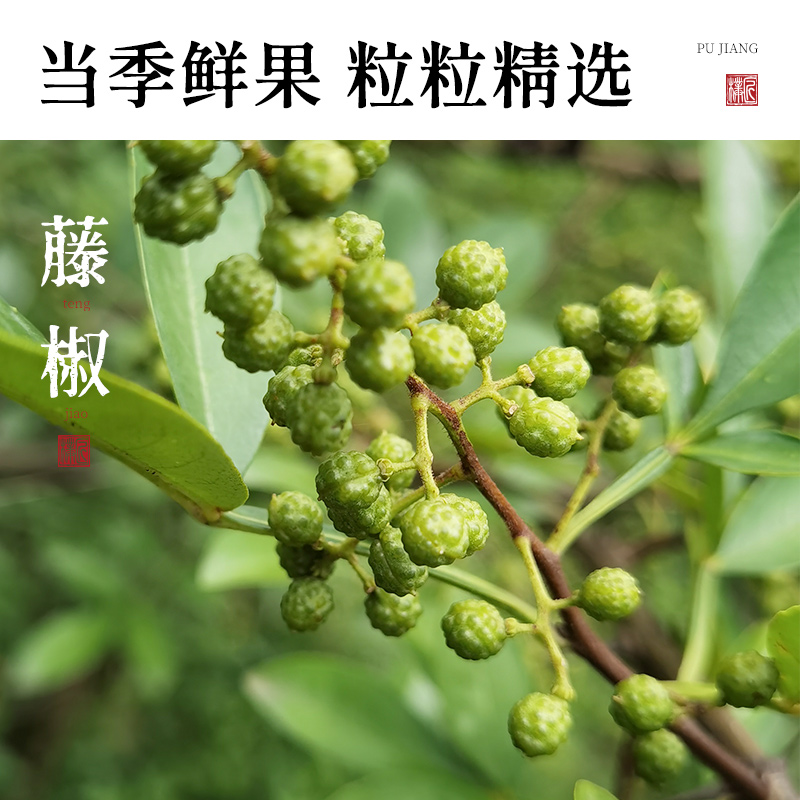 璞匠汉源花椒油：四川特产藤椒油，解锁美食新滋味的秘密武器！