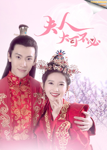 夫人大可不必 印尼语字幕版