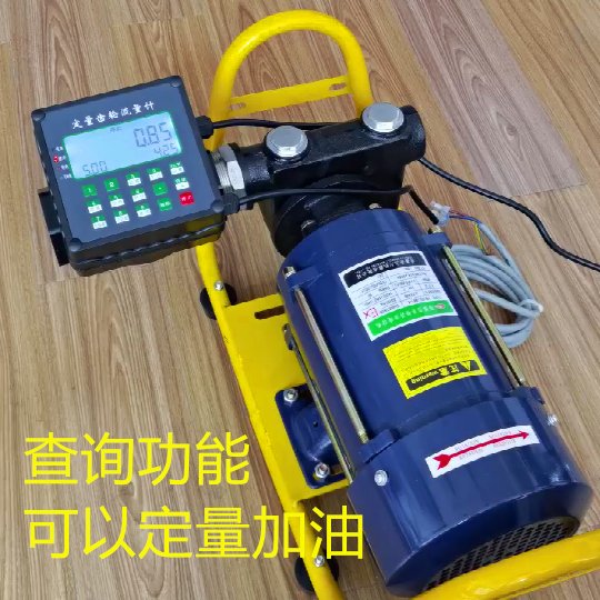 2寸大流量防爆汽油导油泵：安全高效，让你的卸油工作更轻松！⚡️