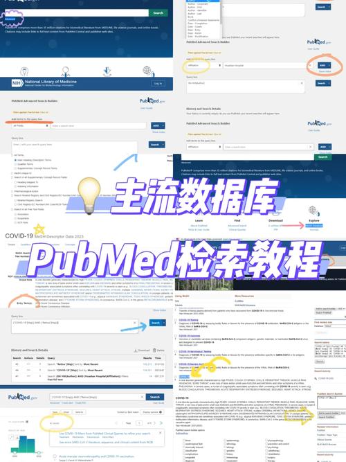 pubmed是什么数据库,什么是PubMed数据库？