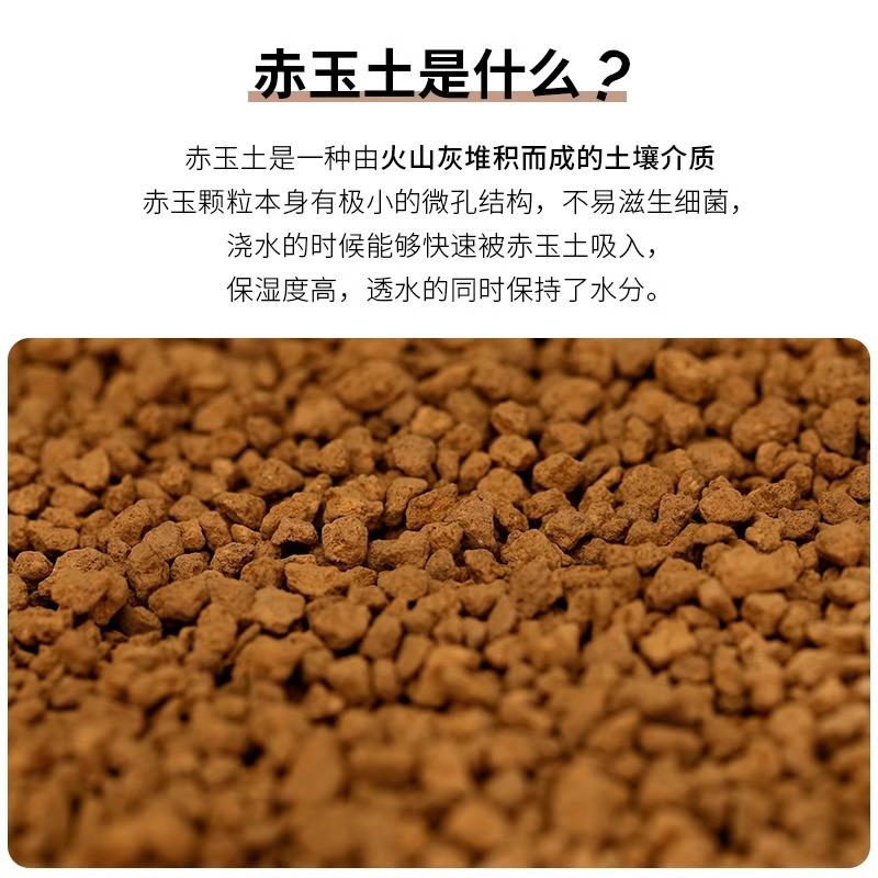 赤玉土&amp;爬宠角蛙泥乌龟黄缘蓝舌鬃狮蜥蜴蛇守宫：打造完美爬虫龟垫材环境！