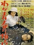 我对青春无悔