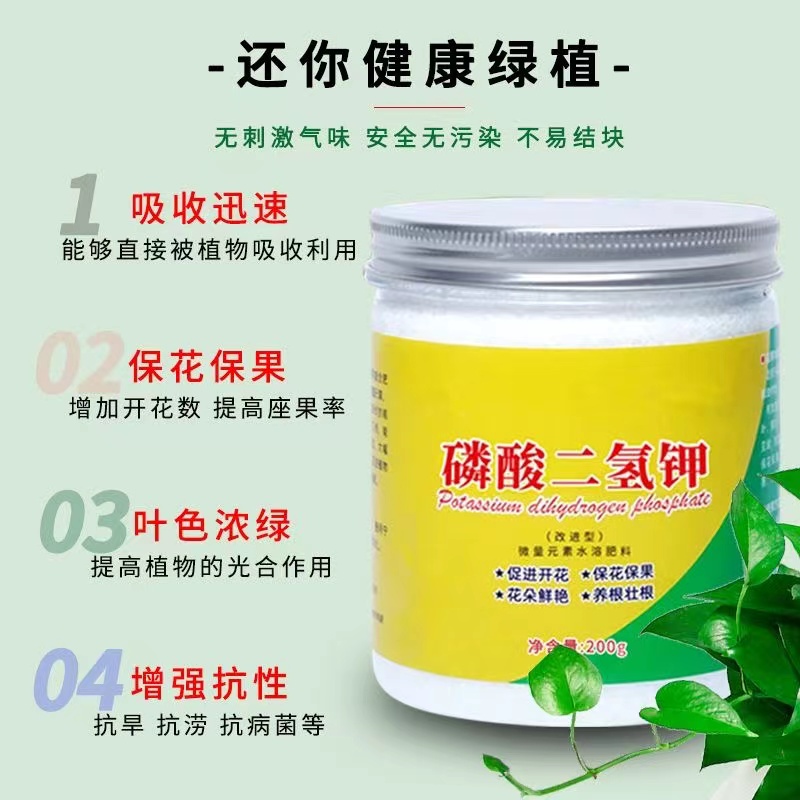 植物养护神器：花神的女儿，让你秒变养植高手！