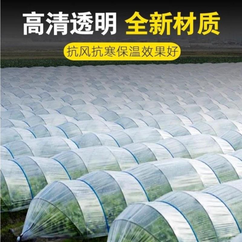 大棚保温膜的秘密：如何选择最佳防寒透明薄膜，让你的菜棚温暖如春？