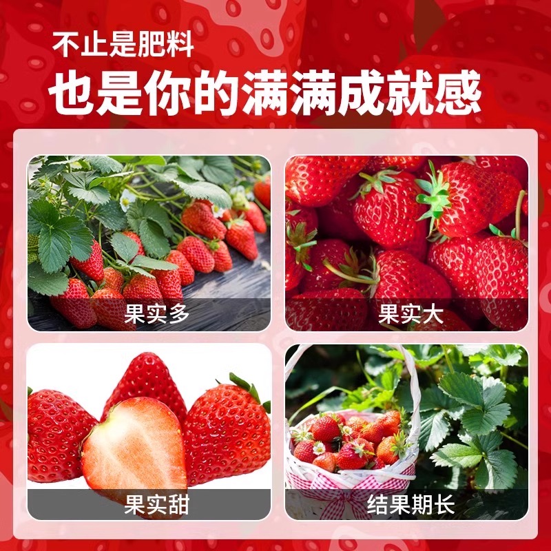 草莓的功效与营养作用有哪些？全面解析