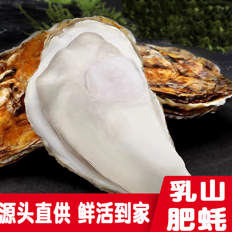乳山生蚝5斤新鲜到爆！刺身级吃法太绝了！这波不冲真的亏大了