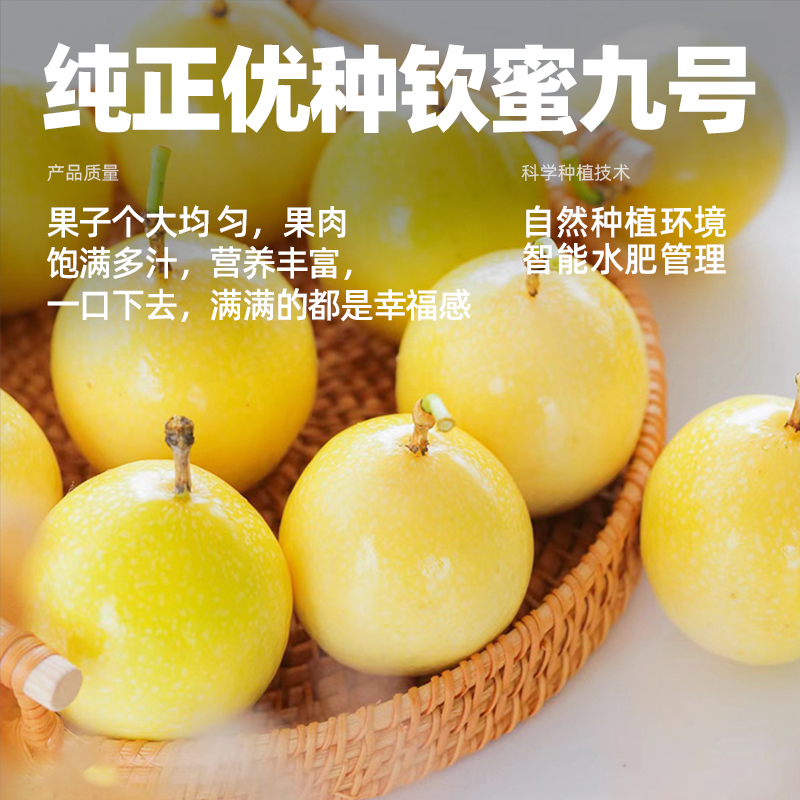 海南钦蜜9号百香果：新鲜现摘，纯甜无酸，顺丰包邮，尝鲜不等待！